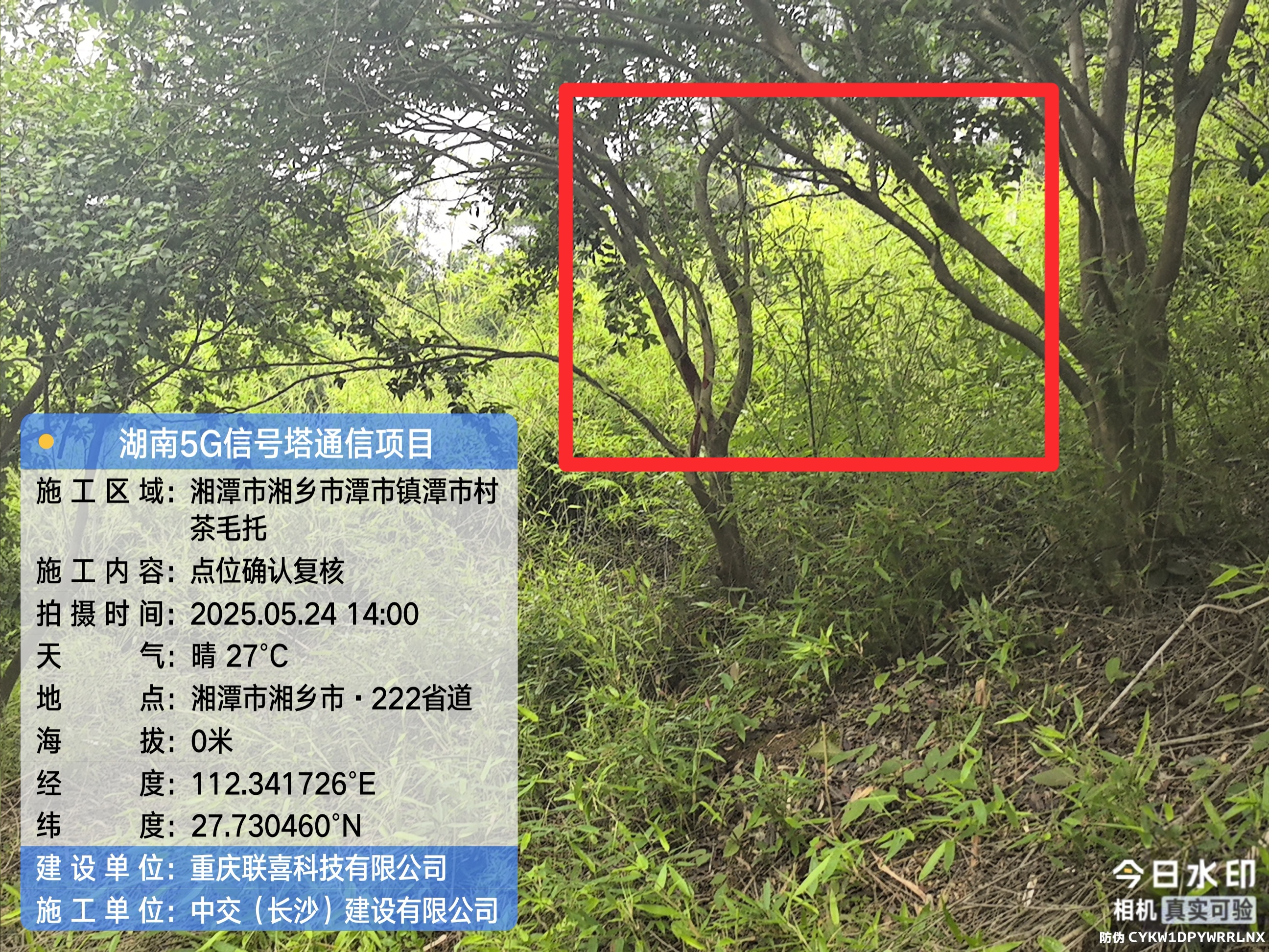 微信图片_20250526100128
