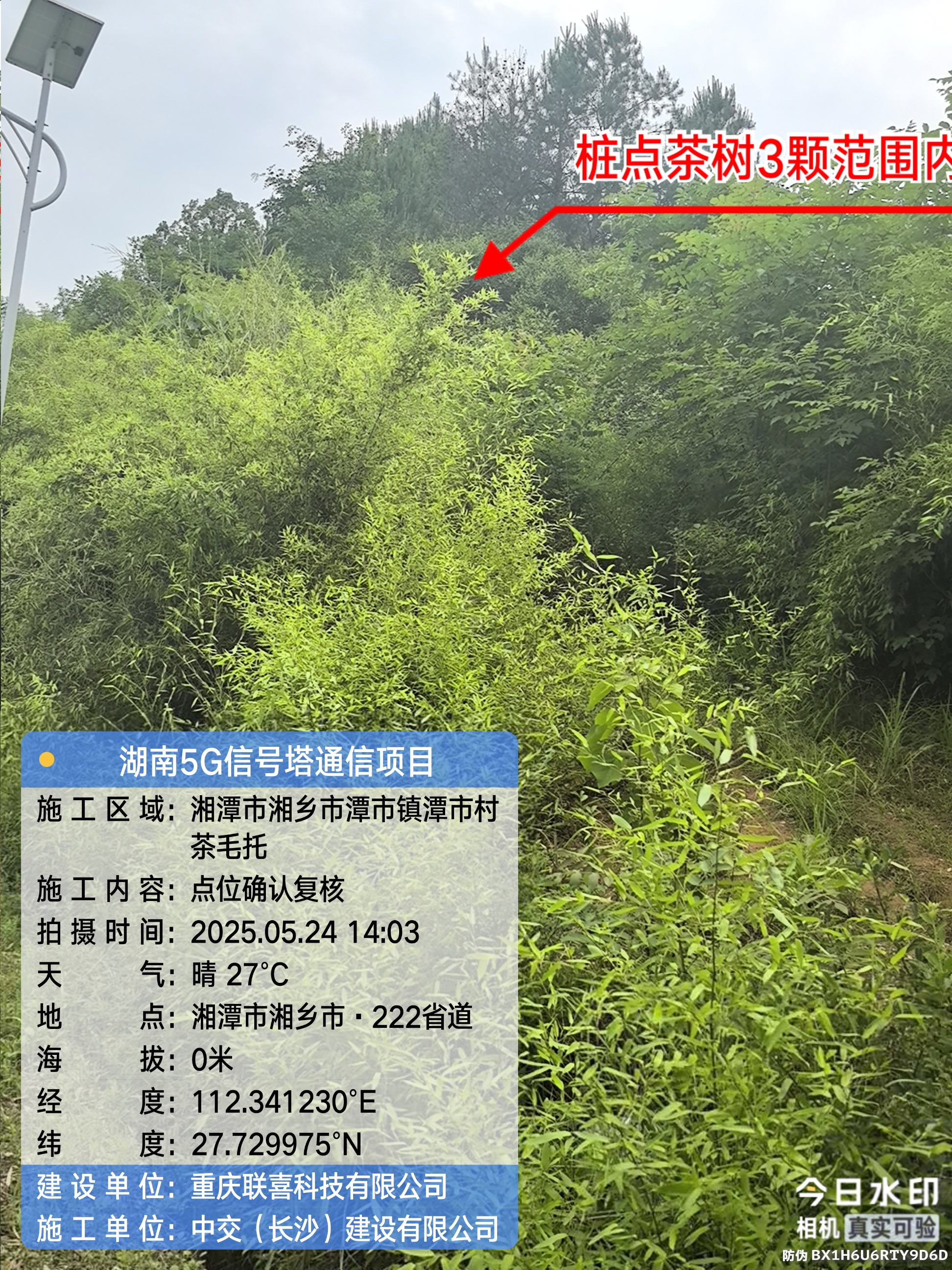 微信图片_20250526100124